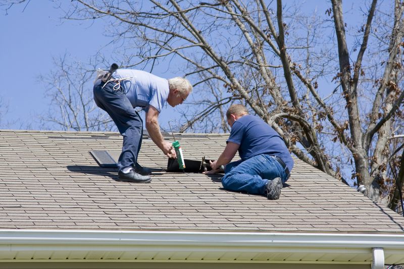 Professional Asphalt Shingle Repair