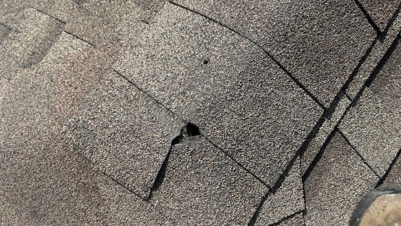 Damaged Roof Repair
